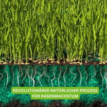 Carica l'immagine nel visualizzatore di Gallery, Turbogras - per un prato sano e a crescita rapida, inclusivo di eBook gratuito sulla cura sostenibile del giardino