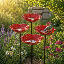 Lade das Bild in den Galerie-Viewer, Vogelblüten Vogeltränke 2er-Set
